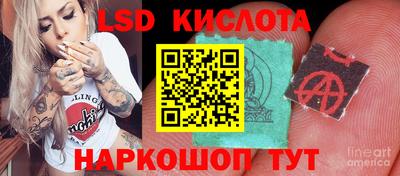 спайс Заволжье