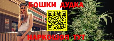 гидра Жуковский